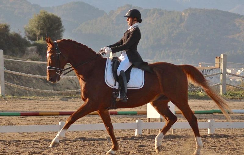 Equitación en Valencia