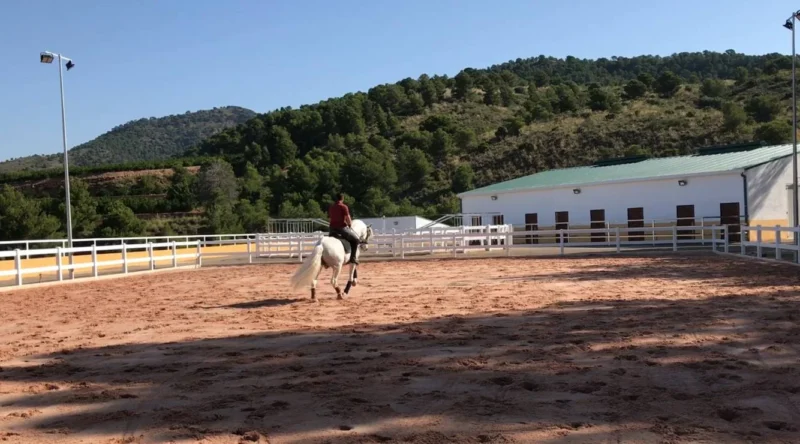 Equitación en Valencia