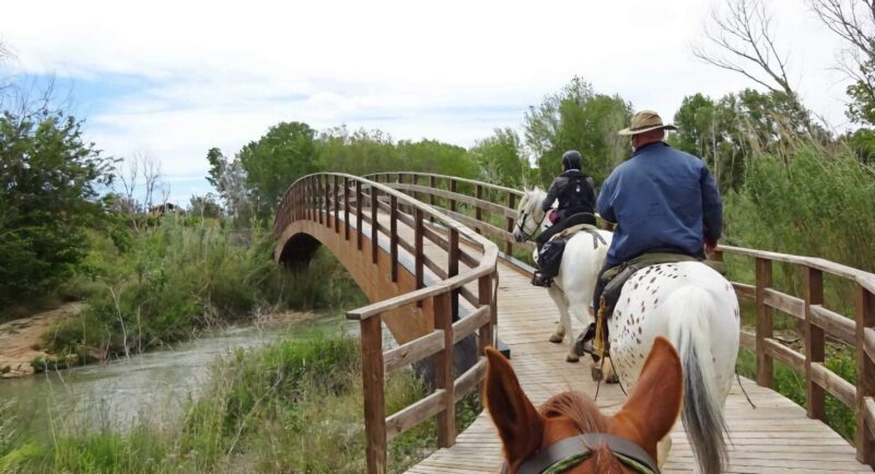 Rutas a caballo en Valencia