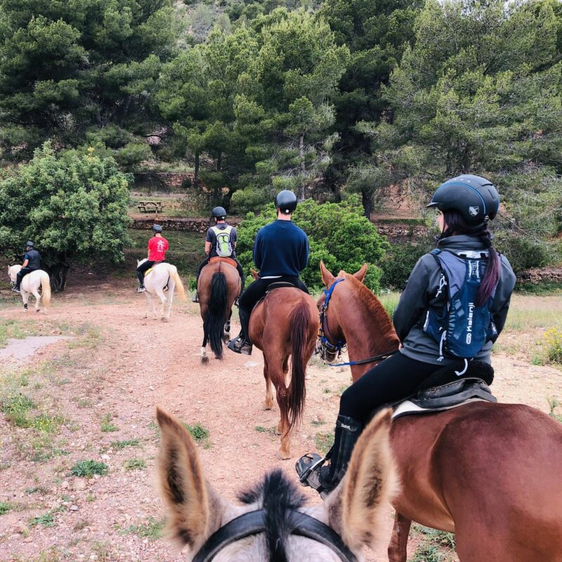 Rutas a caballo en Valencia