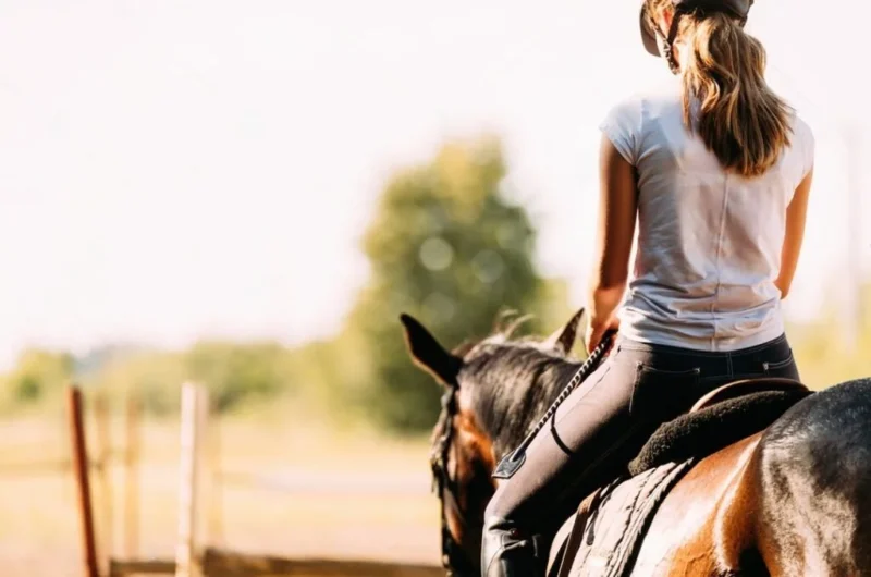 Rutas a caballo en Valencia