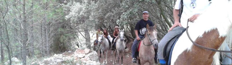 Rutas a caballo en Valencia