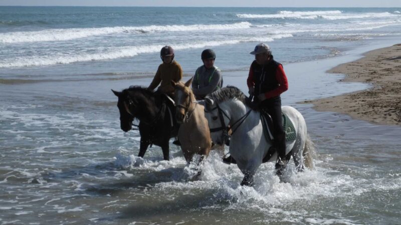 Montar a caballo en Valencia