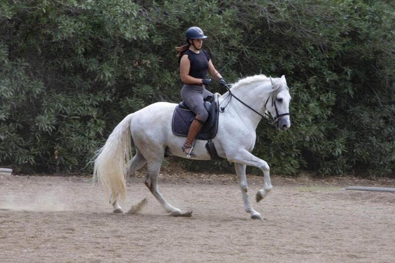 Montar a caballo en Valencia