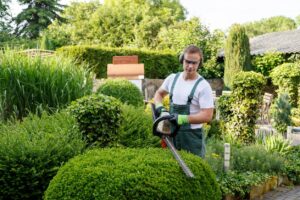 jardineria para profesionales en pamplona